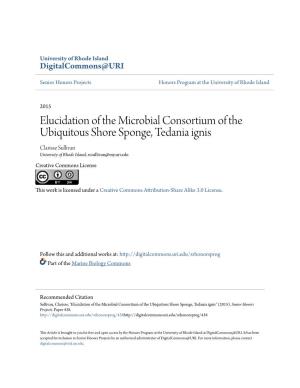 Elucidation of the Microbial Consortium of the Ubiquitous Shore