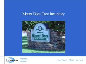Mount Dora Tree Inventoryinventory History