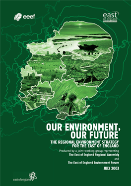 Regional Environment Strategy