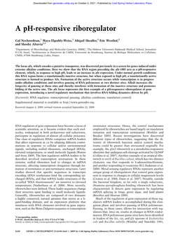 A Ph-Responsive Riboregulator