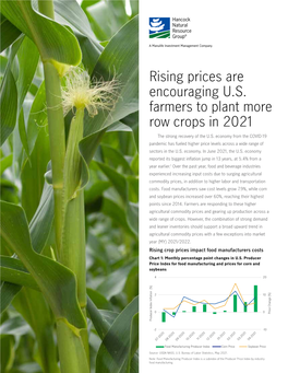 Rising Prices Are Encouraging U.S. Farmers to Plant More Row Crops in 2021