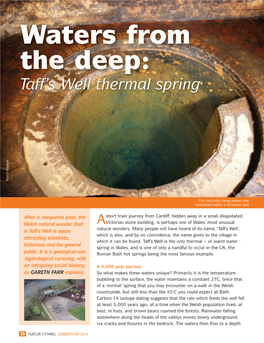 Waters from the Deep: Taff's Well Thermal Spring