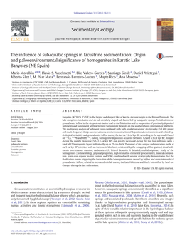 The Influence of Subaquatic Springs in Lacustrine Sedimentation