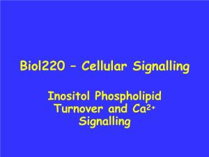 Biol220 – Cellular Signalling