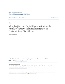 Identification and Partial Characterization of a Family of Putative Palmitoyltransferases in Dictyostelium Discoideum Brent Elliot Wells