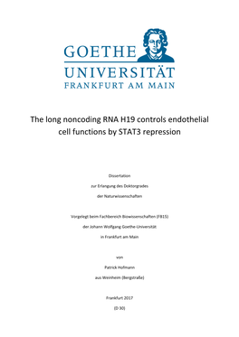 The Long Noncoding RNA H19 Controls Endothelial Cell Functions by STAT3 Repression