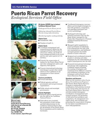 Puerto Rican Parrot Recovery Ecological Services Field Ofﬁce