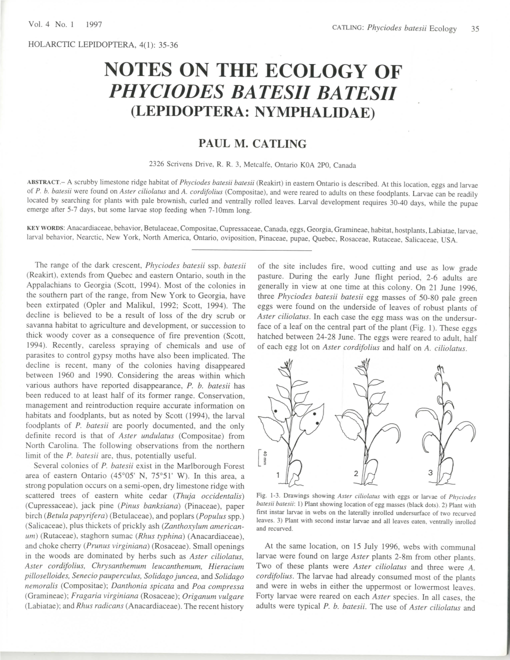 Notes on the Ecology of Phyciodes Batesii Batesii (Lepidoptera: Nymphalidae)