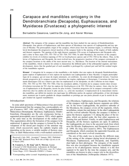 (Decapoda), Euphausiacea, and Mysidacea (Crustacea): a Phylogenetic Interest