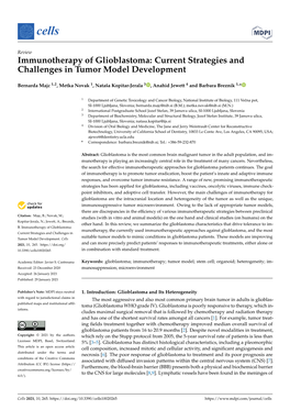 Immunotherapy of Glioblastoma: Current Strategies and Challenges in Tumor Model Development