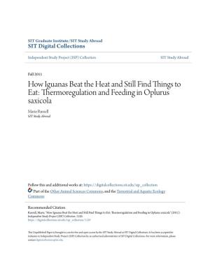 How Iguanas Beat the Heat and Still Find Things to Eat: Thermoregulation and Feeding in Oplurus Saxicola Marie Russell SIT Study Abroad