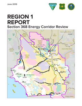 Region 1 Report Section 368 Energy Corridor Review June 2019
