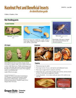 Hazelnut Pest and Beneficial Insects EM 8979-E • June 2009 an Identification Guide V