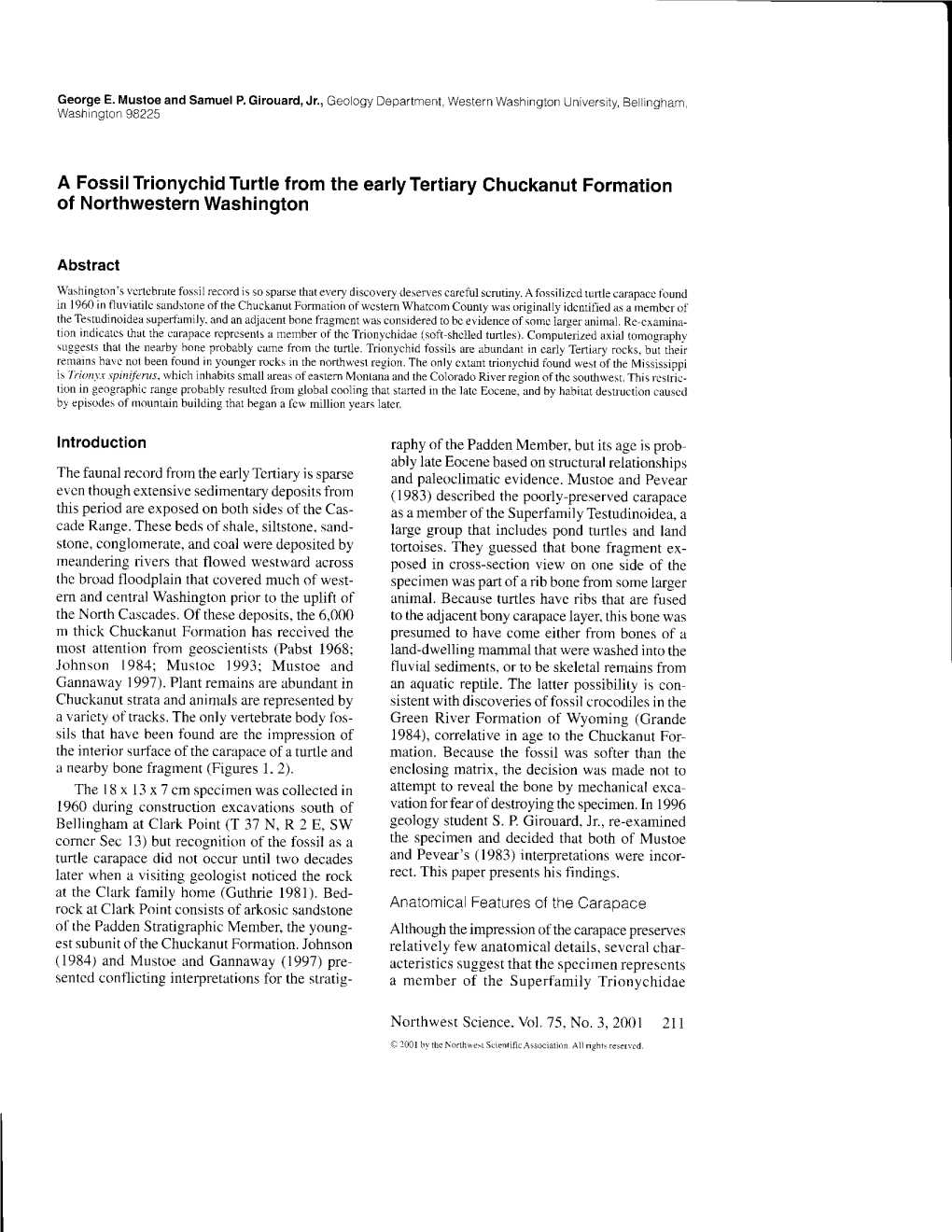 A Fossil Trionychid Turtle F Rom the Early Tertiary Chuckanut Formation