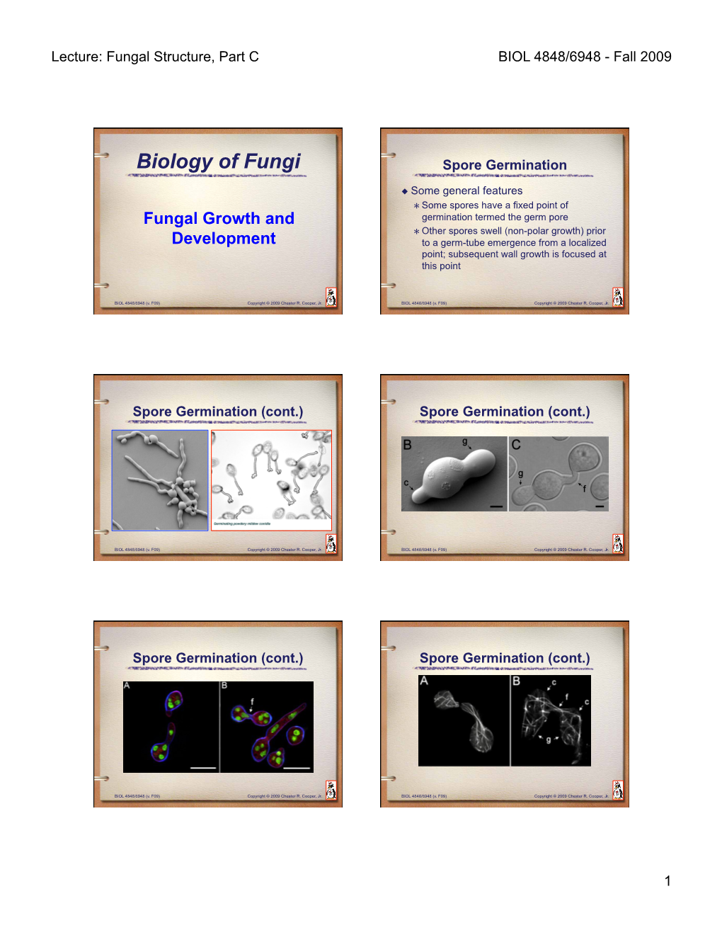 Fungal Biology Lecture 4A (F09)