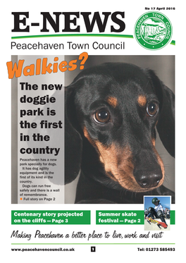 The New Doggie Park Is the First in the Country Peacehaven Has a New Park Specially for Dogs