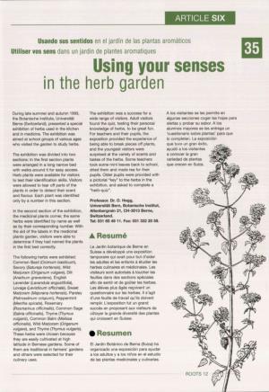 Using Your Senses in the Herb Garden
