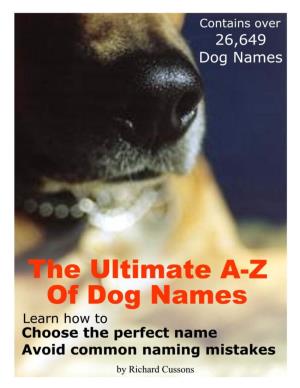 The Ultimate A-Z of Dog Names