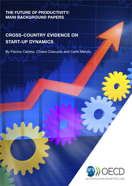 Cross-Country Evidence on Start-Up Dynamics