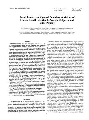 Brush Border and Cytosol Peptidase Activities of Human Small Intestine in Normal Subjects and Celiac Patients