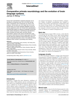 Comparative Primate Neurobiology and the Evolution of Brain Language Systems