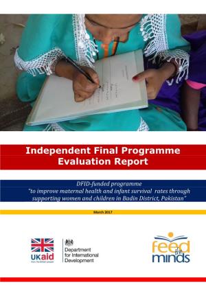 Independent Final Evaluation Report