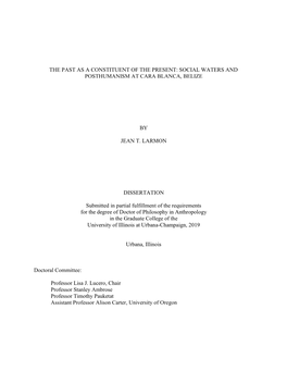 The Past As a Constituent of the Present: Social Waters and Posthumanism at Cara Blanca, Belize