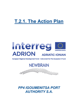 T.2.1. the Action Plan