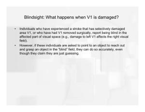 Blindsight: What Happens When V1 Is Damaged?