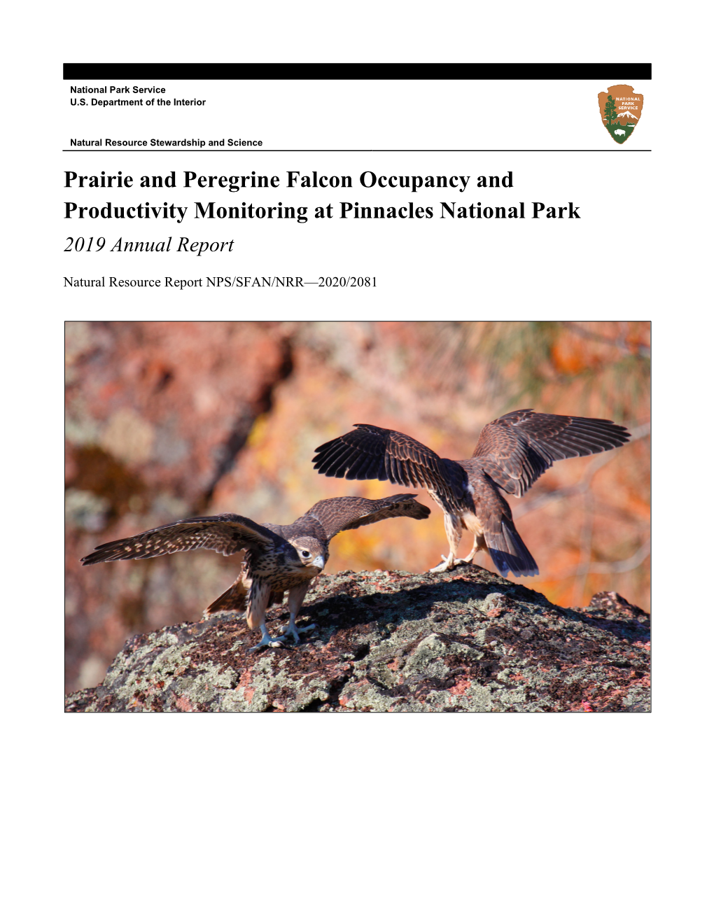 Prairie and Peregrine Falcon Occupancy and Productivity Monitoring at Pinnacles National Park 2019 Annual Report