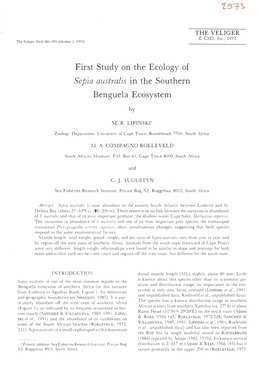 First Study on the Ecology of Sepia Australis in the Southern Benguela Ecosystem