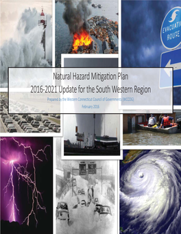 Natural Hazard Migaon Plan 2016-2021 Update for the South