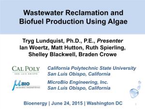 Wastewater Reclamation and Biofuel Production Using Algae