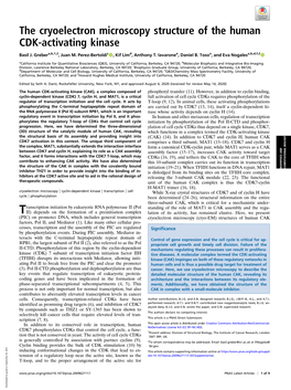 The Cryoelectron Microscopy Structure of the Human CDK-Activating Kinase