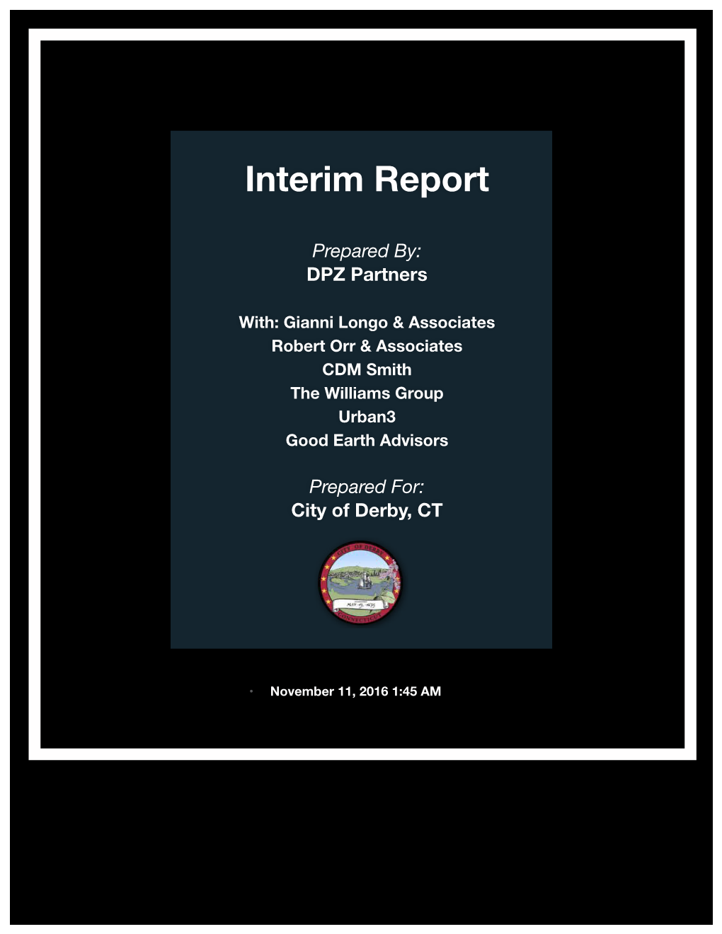 Interim Report