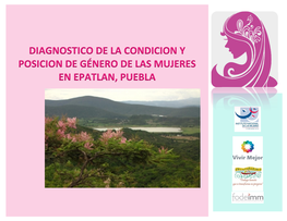 Diagnostico De La Condicion Y Posicion De Género De Las Mujeres En Epatlan, Puebla