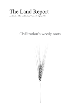 The Land Report a Publication of the Land Institute / Number 84 / Spring 2006