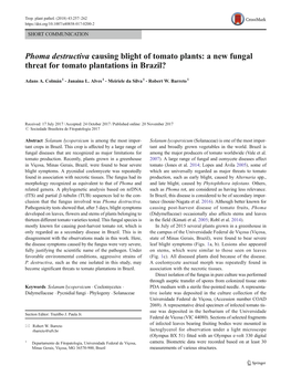 Phoma Destructiva Causing Blight of Tomato Plants: a New Fungal Threat for Tomato Plantations in Brazil?