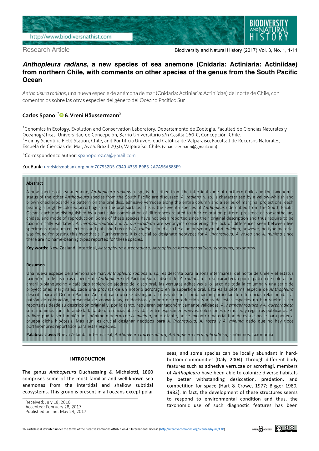 Anthopleura Radians, a New Species of Sea Anemone (Cnidaria: Actiniaria: Actiniidae)