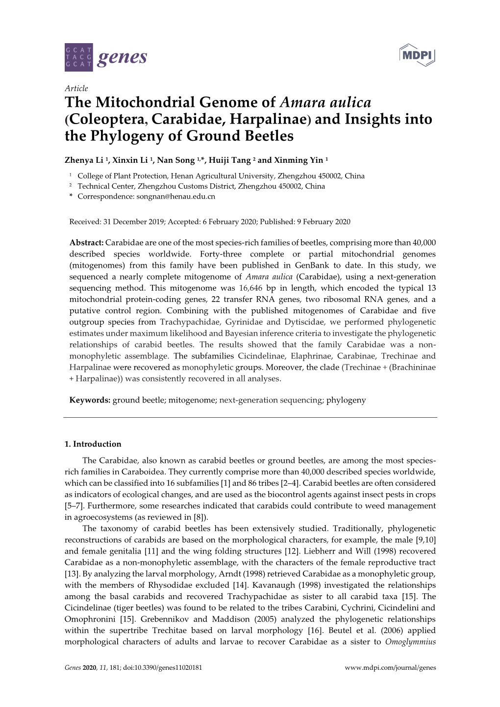 The Mitochondrial Genome of Amara Aulica (Coleoptera, Carabidae, Harpalinae) and Insights Into the Phylogeny of Ground Beetles