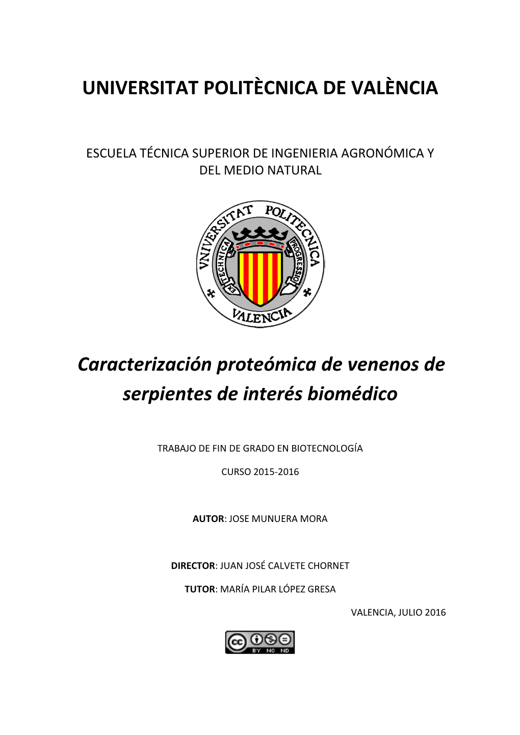 UNIVERSITAT POLITÈCNICA DE VALÈNCIA Caracterización