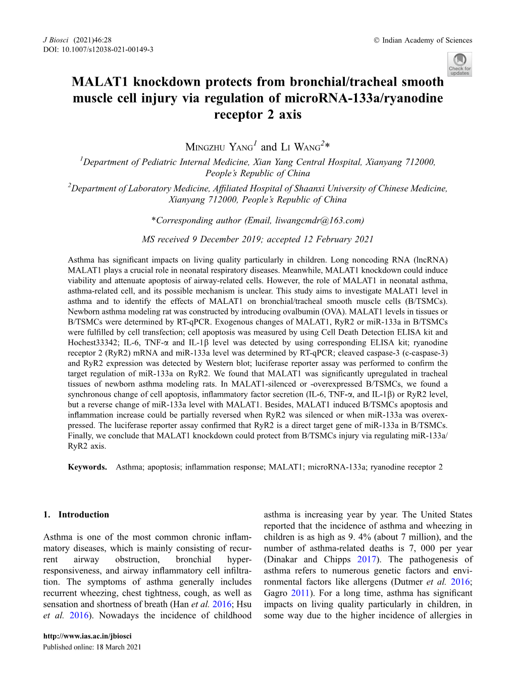 MALAT1 Knockdown Protects from Bronchial/Tracheal Smooth Muscle Cell Injury Via Regulation of Microrna-133A/Ryanodine Receptor 2 Axis