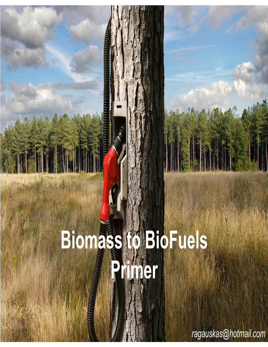 Biomass to Biofuels Primer