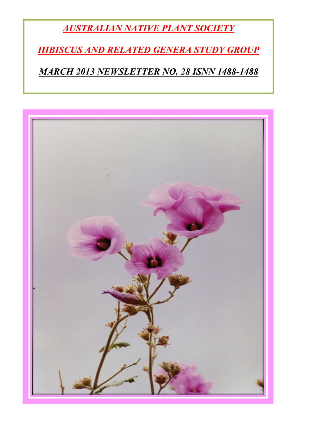 Australian Native Plant Society Hibiscus And