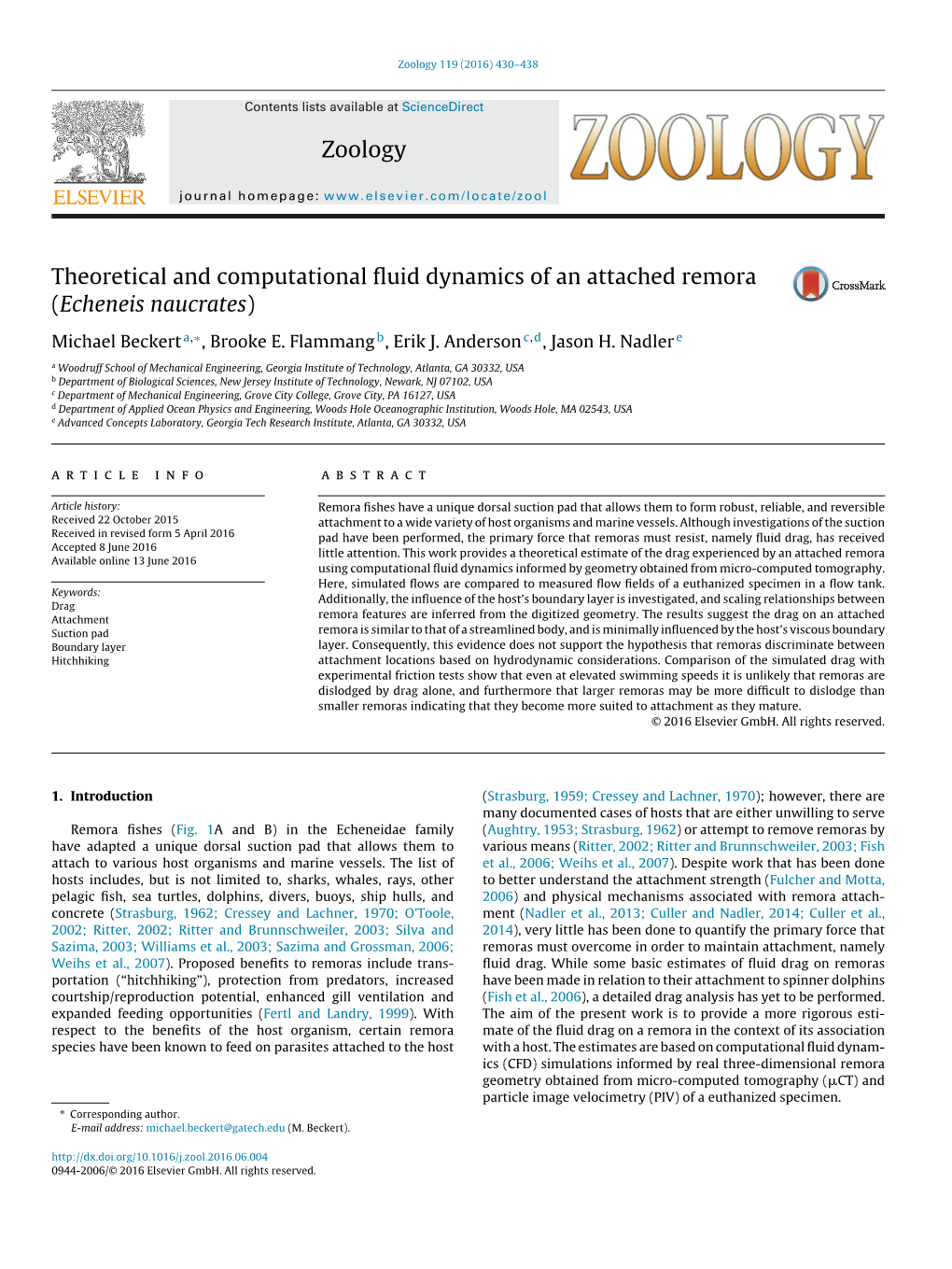 Theoretical and Computational Fluid Dynamics of an Attached Remora