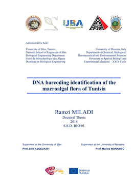 Thesis MILADI Final Defense