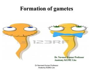 Formation of Gametes [PDF]