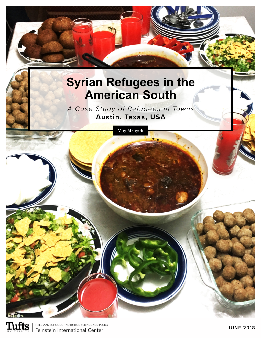 Syrian Refugees in the American South a Case Study of Refugees in Towns Austin, Texas, USA