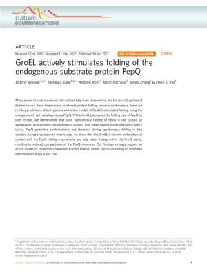 Groel Actively Stimulates Folding of the Endogenous Substrate Protein Pepq