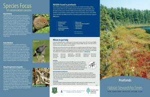 Peatlands Many Wildlife Species Use Peatlands for Part of Their Life Cycle, Whether for Breeding, Feeding, Species Focus Cover Or Nesting